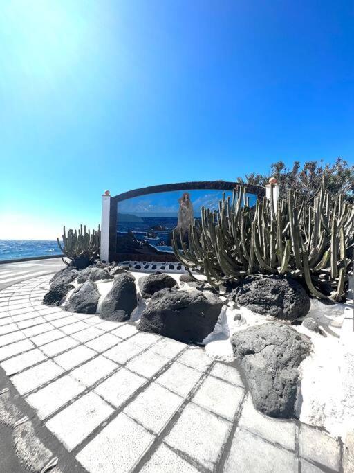 فيلا Casa A 50 Metros De La Playa. Supreme Pedro El Socorro المظهر الخارجي الصورة